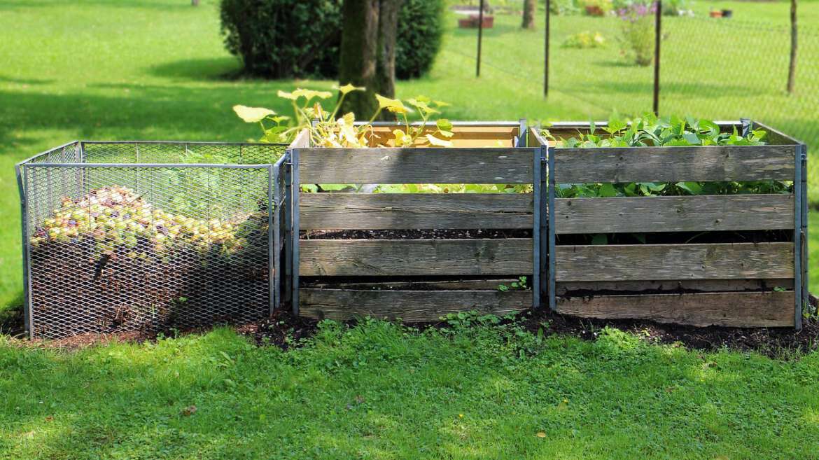 Przygotuj Naturalny Kompost Ogrodniczy dla Malin i Jeżyn: Proste i Skuteczne Metody